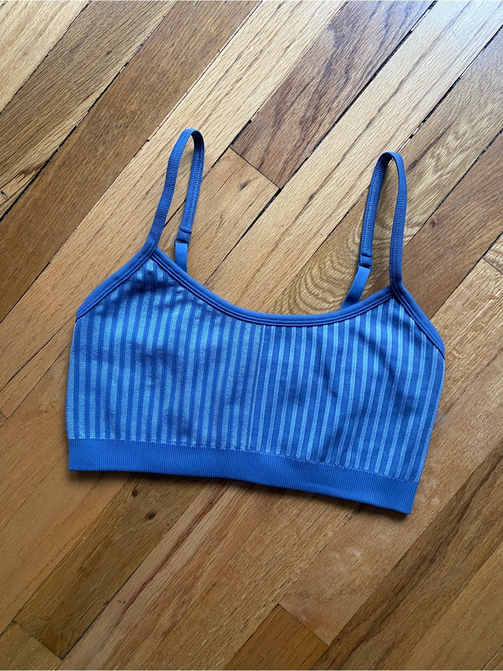 aerie Blue Striped Seamless Bralette